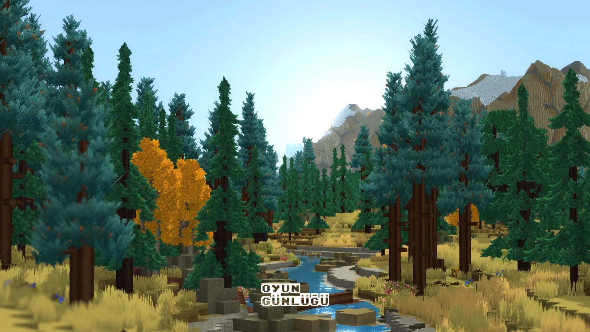 Hytale Türkçe Desteği Ne Durumda? Resmi Yol Haritası ve Topluluk Çevirisi